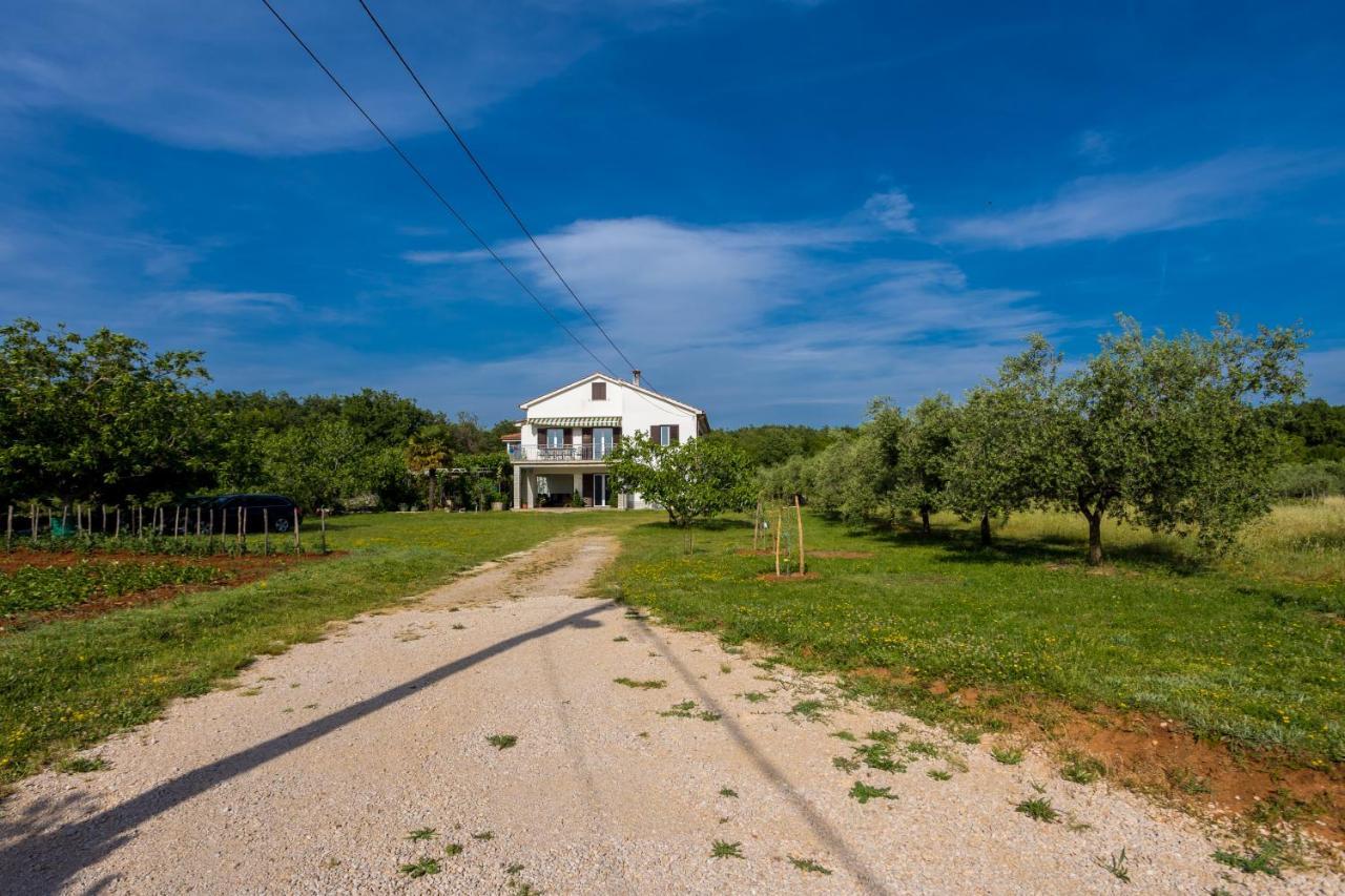 Apartmán Sara Milohnici
