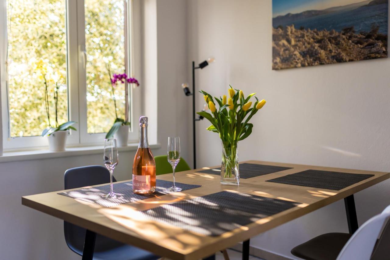 Apartment Sara Milohnici